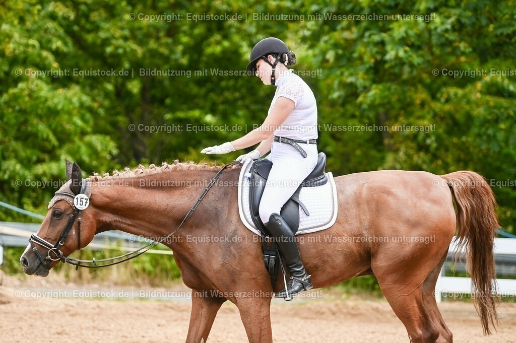 20230715_05_Dressurprüfung Kl.A++_0056 | equistock