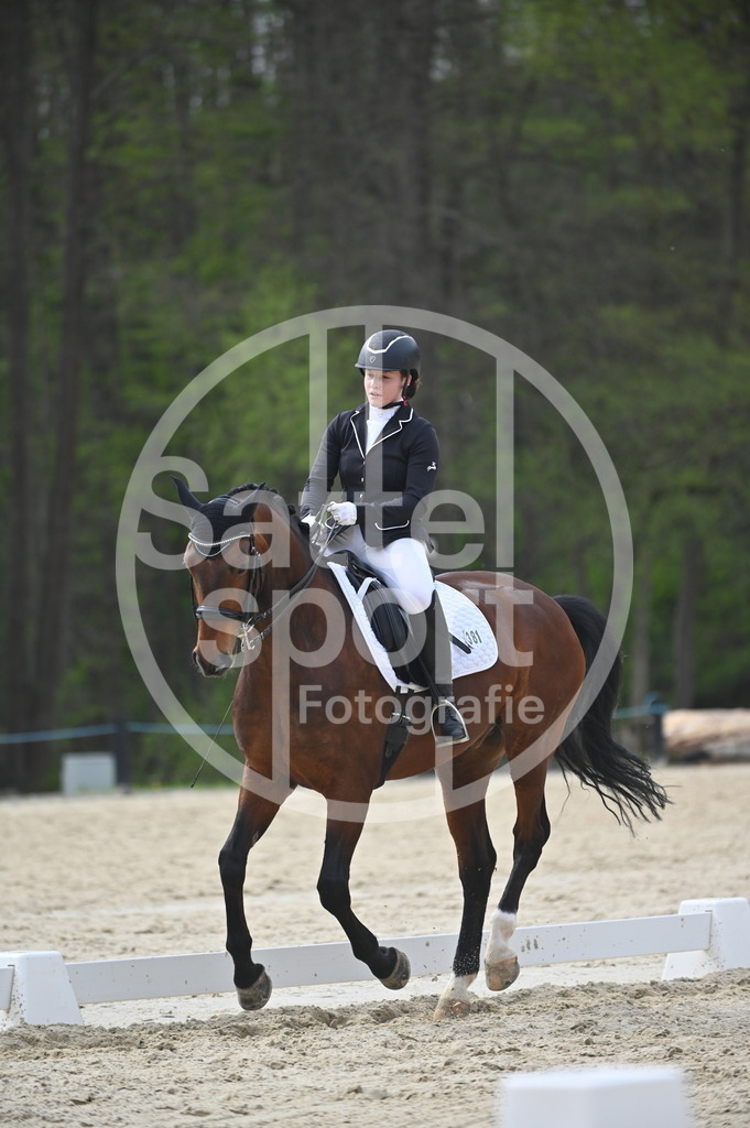 DSC_4988 | sattelsport - Realisiert mit Pictrs.com