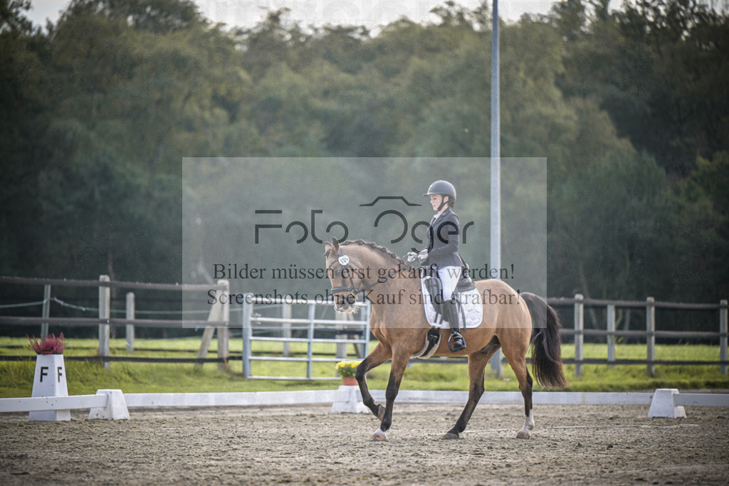 DOS_4501 | Entdecke hochwertige Reitturnierfotos von Foto Oger. Professionell, emotional und authentisch – jetzt Lieblingsmomente im Shop bestellen.Deutschlandweite Turnierfotografie. - Realisiert mit Pictrs.com
