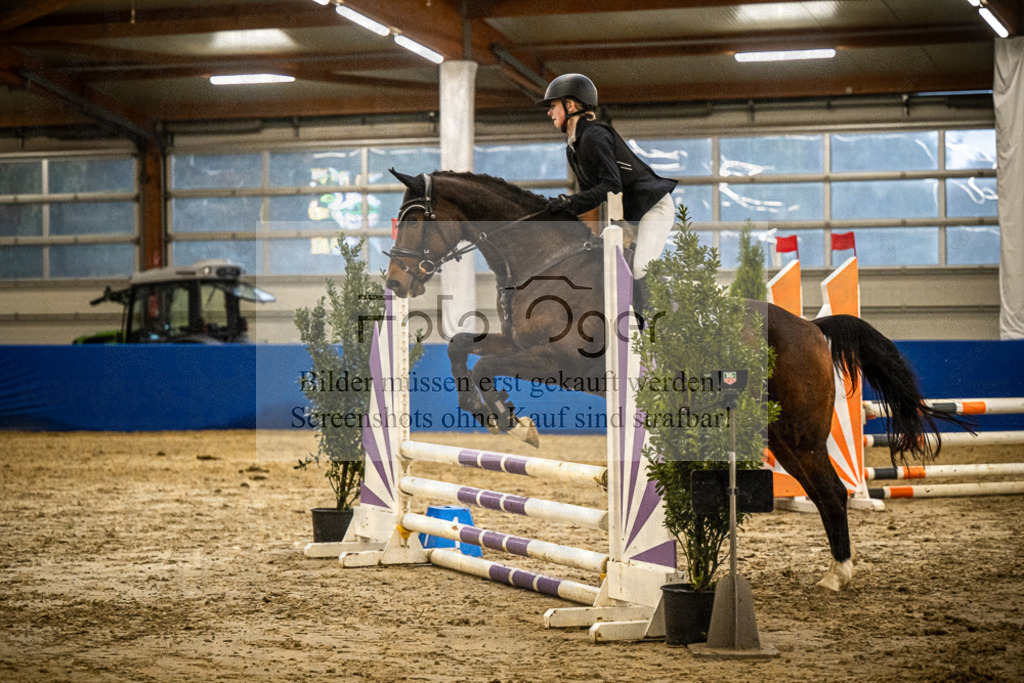 DOS_1275 | Entdecke hochwertige Reitturnierfotos von Foto Oger. Professionell, emotional und authentisch – jetzt Lieblingsmomente im Shop bestellen.Deutschlandweite Turnierfotografie. - Realisiert mit Pictrs.com