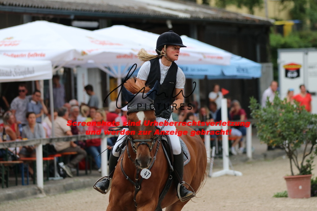 IMG_2922 | lmwpictures - Realisiert mit Pictrs.com