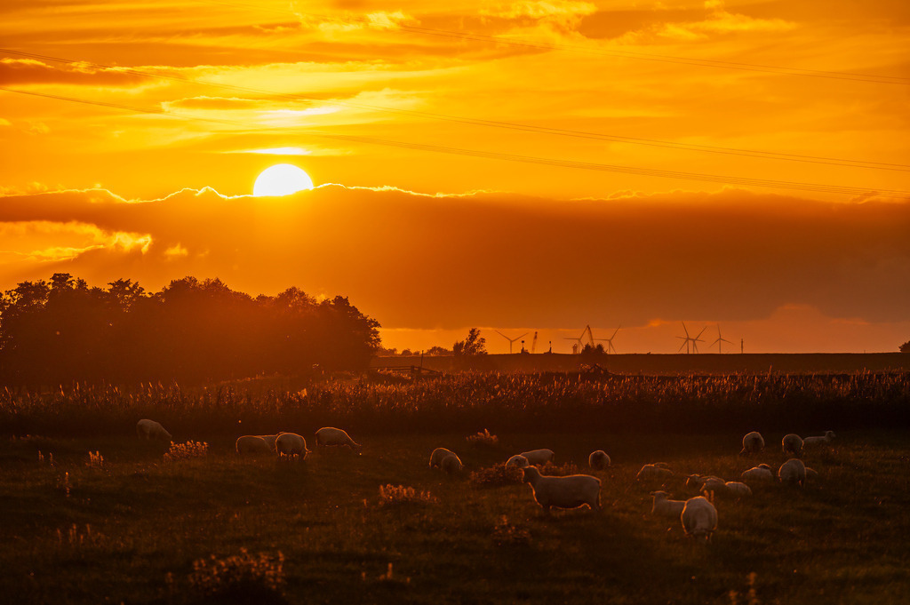 2023_08_04_HETLINGER-SCHANZE_MCP0896 | Hochwertig gedruckte Fotografien für die Wand, als Kalender und zum Verschenken. Hamburg & Norddeutschland und überall wo ich mit der Kamera unterwegs war.