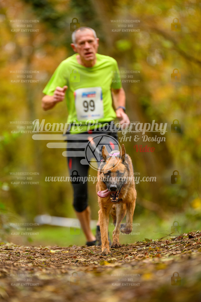 MompixPhotography_Bischwiller24_SA_Canicross-177 | PayLife