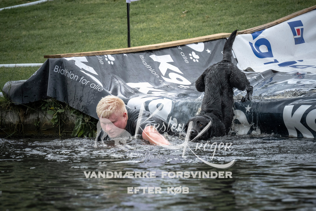 1601_ZZ97470 | kk-dogfotos