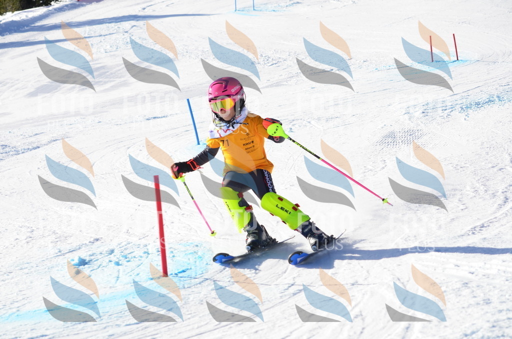 C5893 | holidayphoto