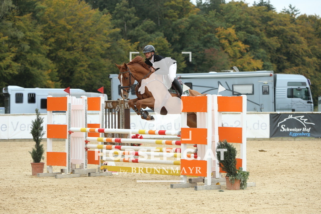 DL2Q6804 | Willkommen bei Brunnmayr - Design & Fotografie – Ihrem Spezialisten für Reitturniere und Pferdeveranstaltungen in Oberösterreich, Salzburg und Bayern! Seit über 17 Jahren sind wir leidenschaftlich dabei.