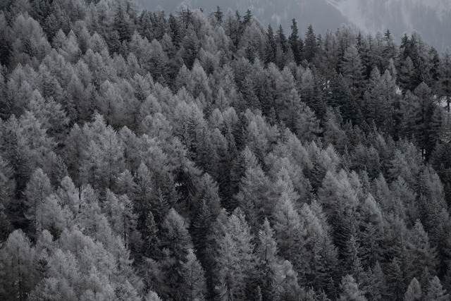 _RAW2305_corr_027 | Fotografische Eindrücke aus dem Oberwallis von Raphael Wernli - Realisiert mit Pictrs.com