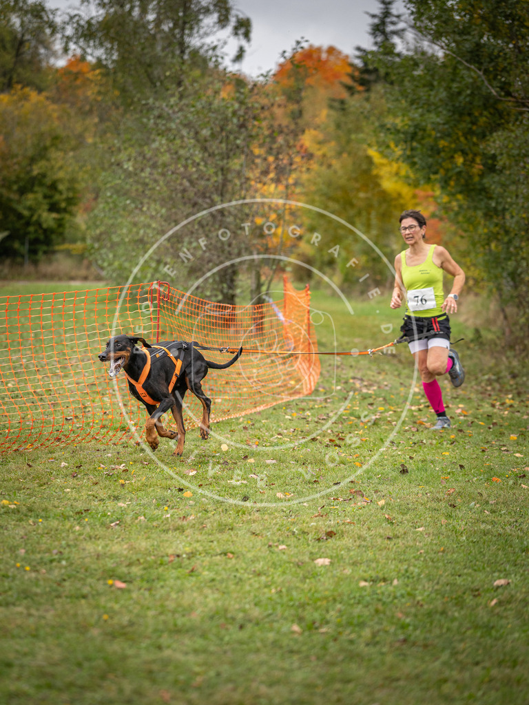 Pfotenfotografie_DV3A2964 | Hundefotografie, Tierfotograf, Pfotenfotografie, Fotoshooting Hund, Hunde Portrait, Hundesport, Hundeportraits, Heideshooting, Hunde, Sportfotograf, Hundefotograf, Turnierhundsport, THS,  - Realisiert mit Pictrs.com