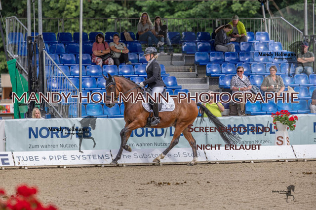 24.7.25 D1 34 (74 von 170) | mandyhollmannphotographie