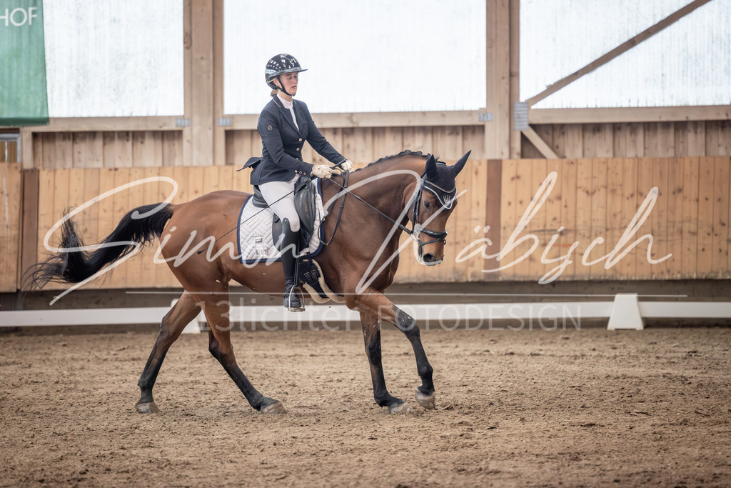 20251011-_3LI0281 | Tierfotografie Pferde, Hunde, Katzen, Haustiere.
Turnierfotografie Reitturniere, Reiten, Springreiten, Dressur in Hanau, dem Main-Kinzig-Kreis und dem Rhein-Main- Gebiet um Frankfurt