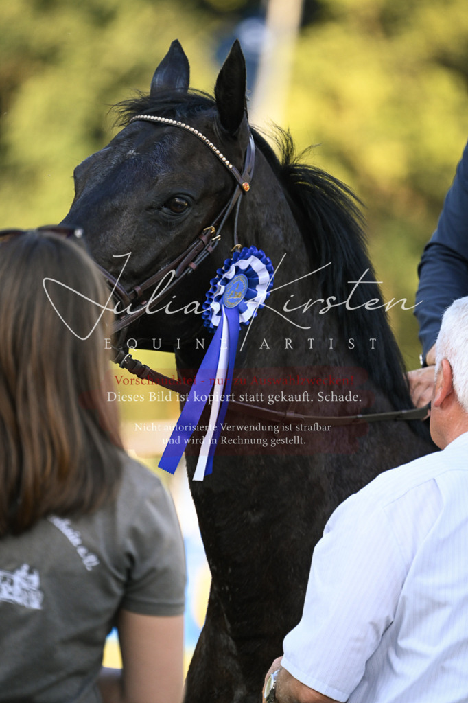 DSC_1868 | Pferde- und Turnierfotografie in Westsachsen. Pferdeportraits, Auftragszeichnungen und intuitive Kunst.