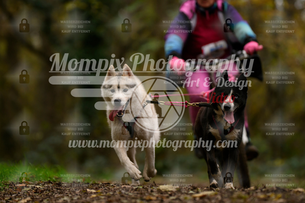 MompixPhotography_Bischwiller24_SA_VTT2-25 | PayLife