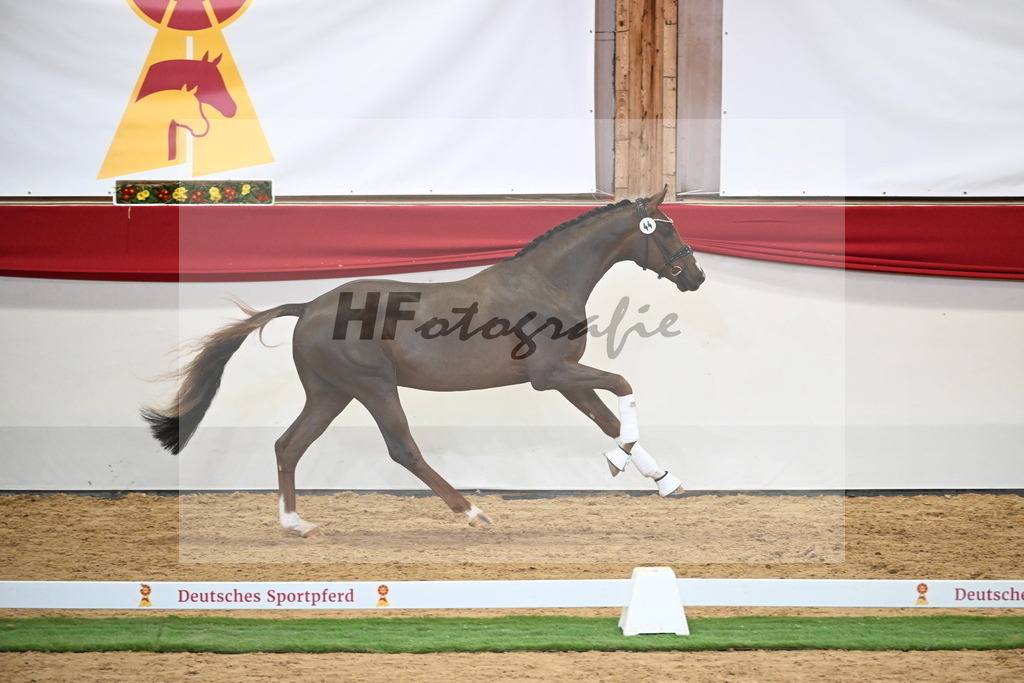 Kat.-Nr. 44 v. Bonds_Berger_2250095 | hf-fotografie - Realisiert mit Pictrs.com