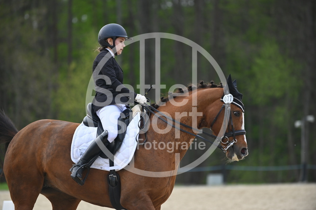 DSC_4864 | sattelsport - Realisiert mit Pictrs.com