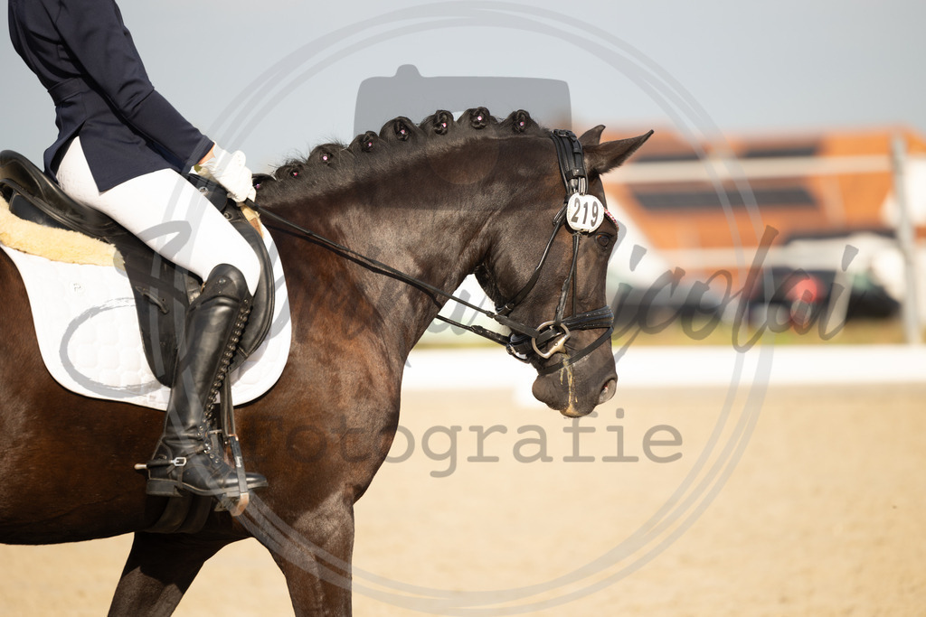 994A1007 | sabrinanicolaifotografie - Realisiert mit Pictrs.com