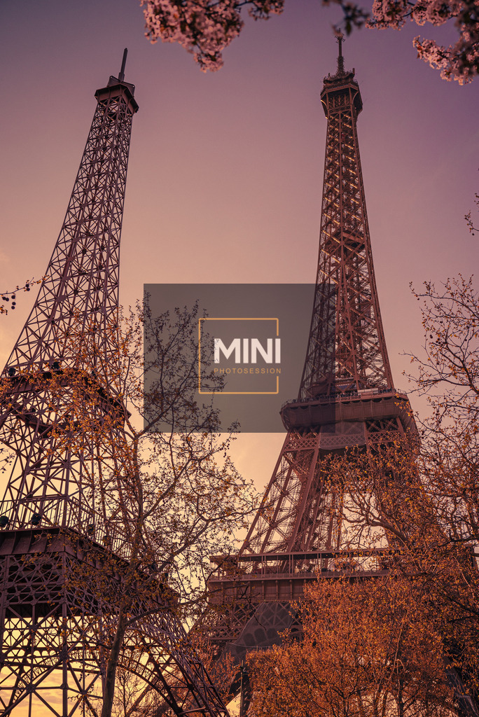 20230405-DSC_4433 | Michael Nibel Fotografie - Realisiert mit Pictrs.com