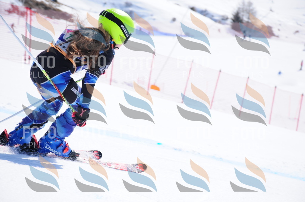 DSC_1011 | holidayphoto