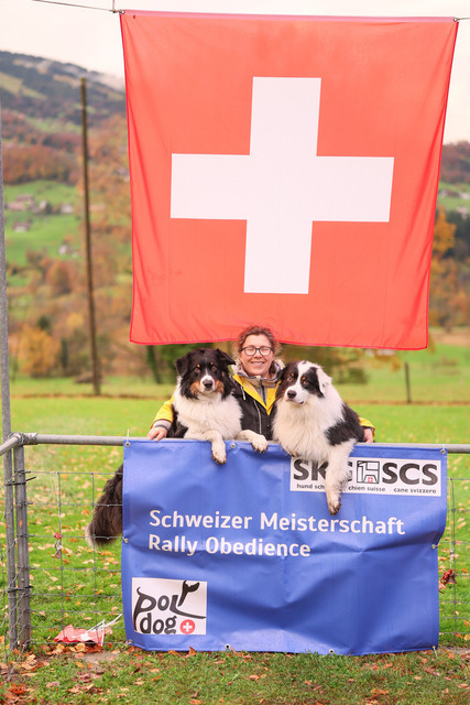 2025_Rally_Obedience_SM-303 | Ich fotografiere Hundeausstellungen, Sportanlässe, Zuchtstätten, Hundezucht, Hundeportrait, Lagotto - Realisiert mit Pictrs.com