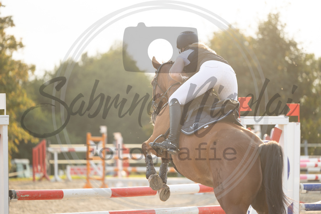 994A2220 | sabrinanicolaifotografie - Realisiert mit Pictrs.com
