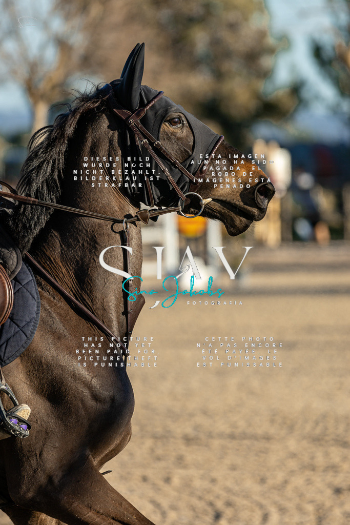 IMG_2396 | s-jay-photography - Realisiert mit Pictrs.com