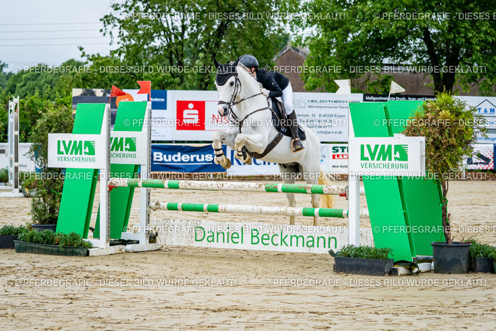 DSC01757 | Pferdegrafie