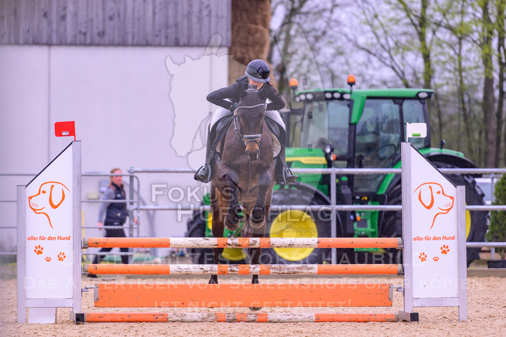 12042026-Mammendorf-Prfg38-0175 | Fokus Hufschlag Fotografie - Realisiert mit Pictrs.com