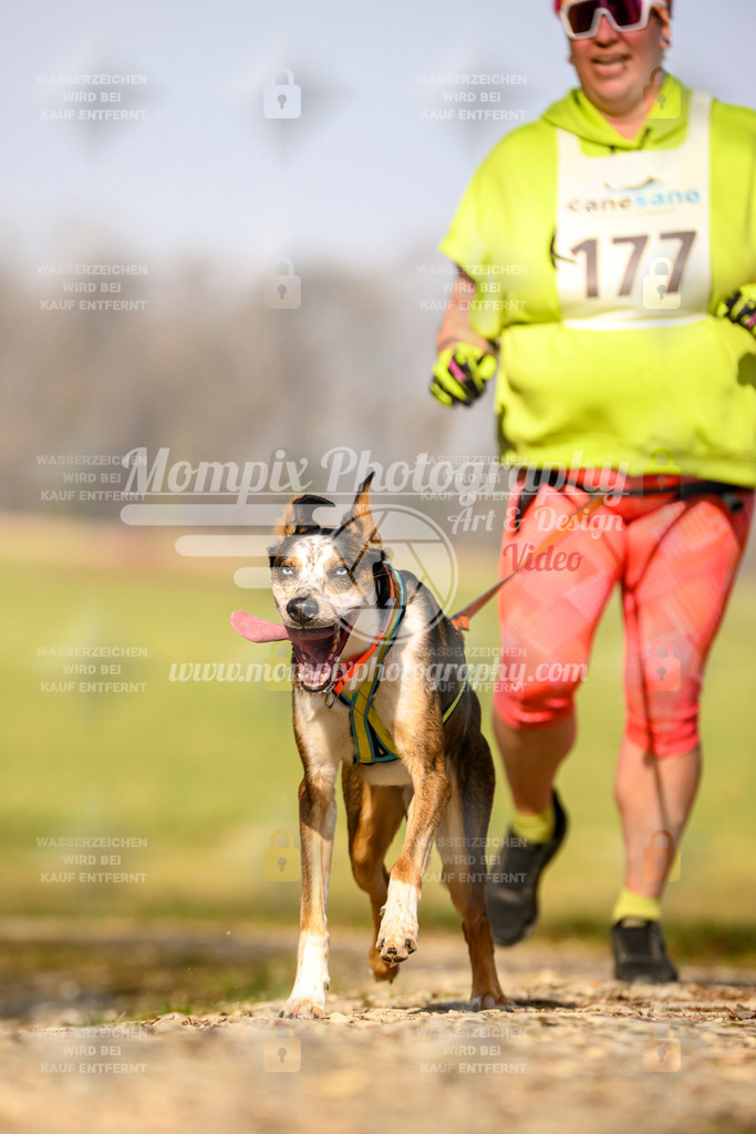 MompixPhotography_6ReiatRennen2026_SA_HappyDog-43 | PayLife