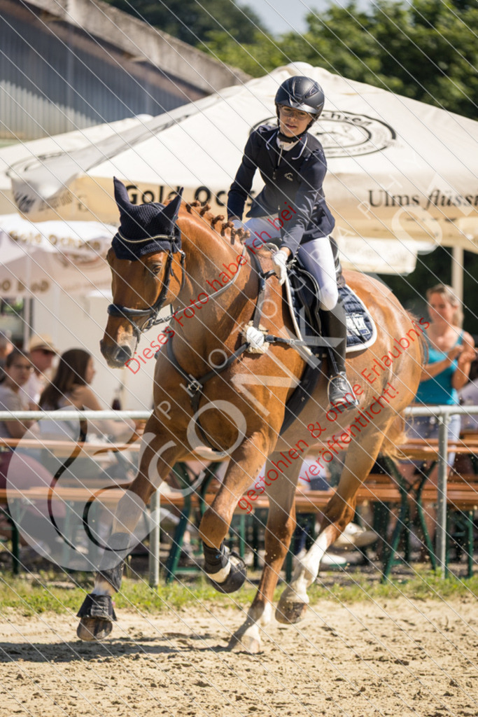 IMG_3383 | Sport-, Event- und Tierfotos in Profiqualität. Einfach auswählen, bestellen und herunterladen. Dein Moment – perfekt festgehalten.