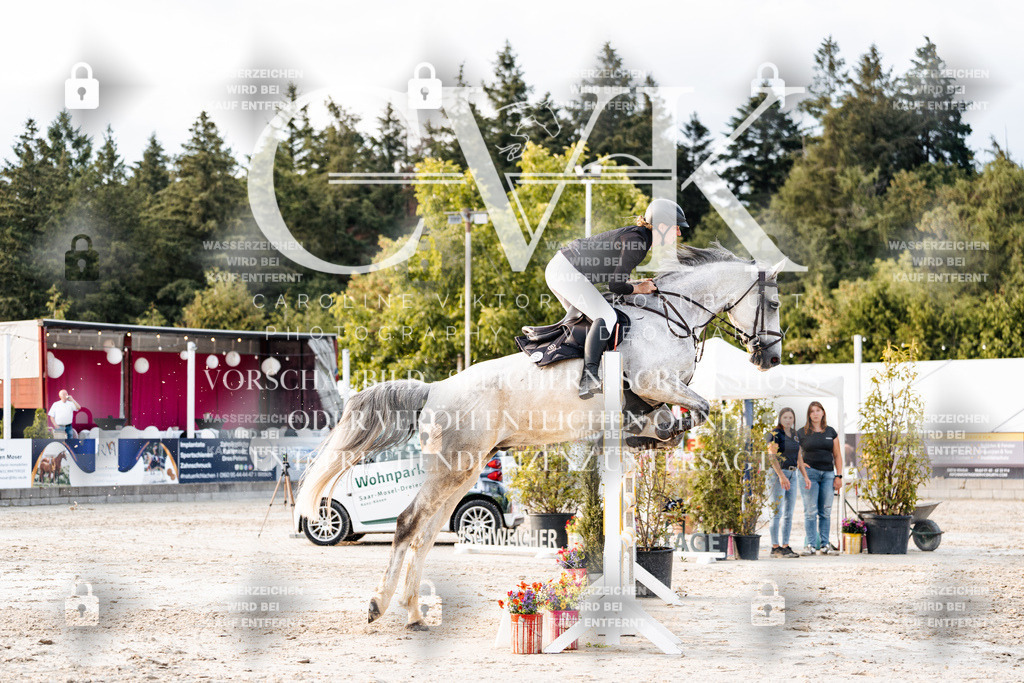 CK903650 | Turnierfotografie Pferdefotografie Trier Rheinland-Pfalz Pferdesport Reitsport Tierfotografie Sportfotografie Pferdevideo Pferdevideografie Equestrianvideography equestrianphotography  - Realisiert mit Pictrs.com