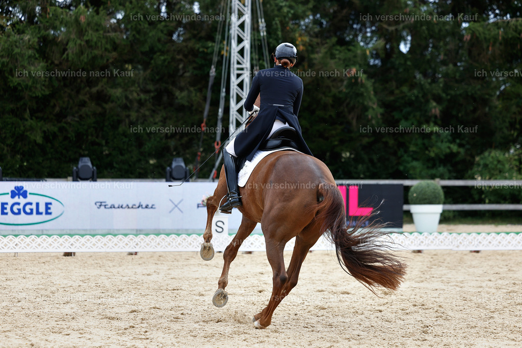 11-141-Dressur S___-Marixx-1842 | working equitationturnier fotograf videograf stoibphotography marixx film working equitation deutschland reitsport turnierfotografie eventfotografie equestrian events