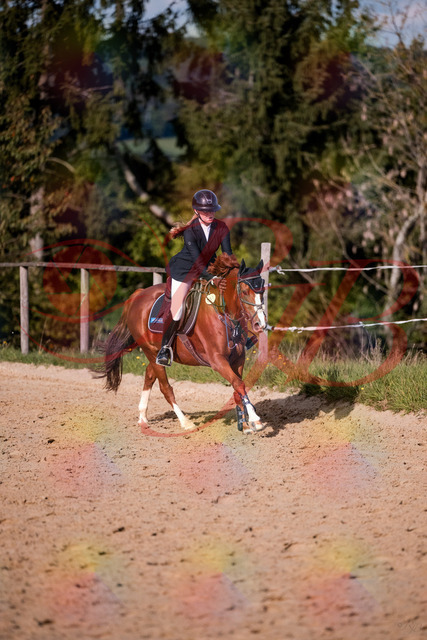 2026_10_03_Siefer-Hof_155828_Z81_78551921 | Professionelle Reitsport-, Turnier- und Eventfotografie von Robert Broda. Galerien mit ausgewählten und bearbeiteten Bildern direkt online ansehen und bestellen.