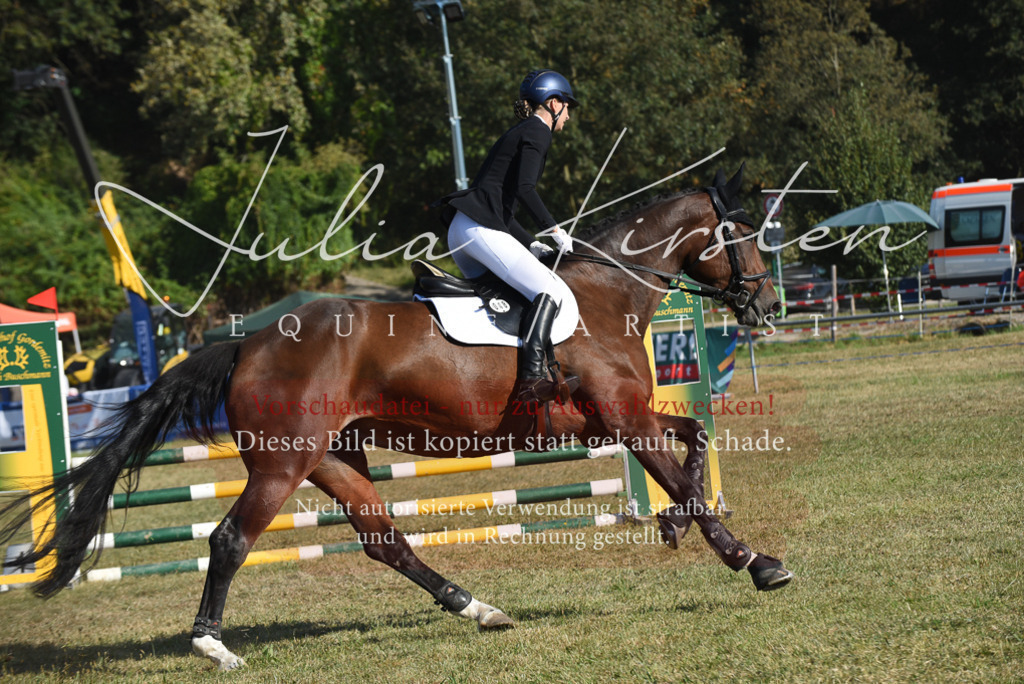 DSC_5405 | Pferde- und Turnierfotografie in Westsachsen. Pferdeportraits, Auftragszeichnungen und intuitive Kunst.