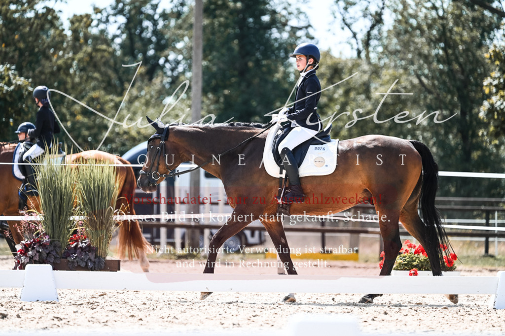 DSC_5802 | Pferde- und Turnierfotografie in Westsachsen. Pferdeportraits, Auftragszeichnungen und intuitive Kunst.