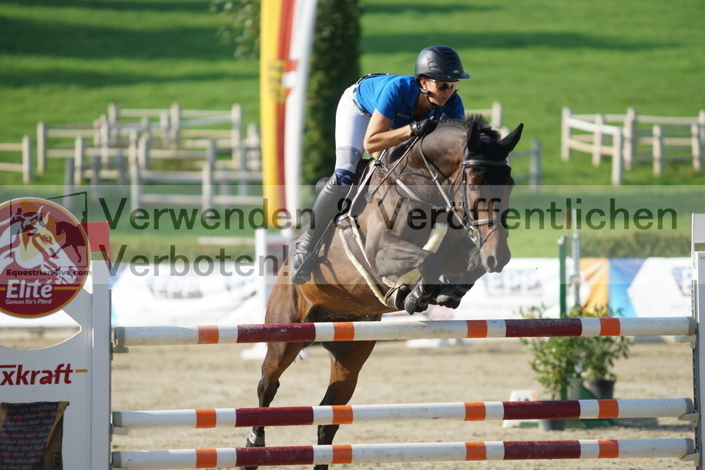 DSC06290 | equestrian-live-com