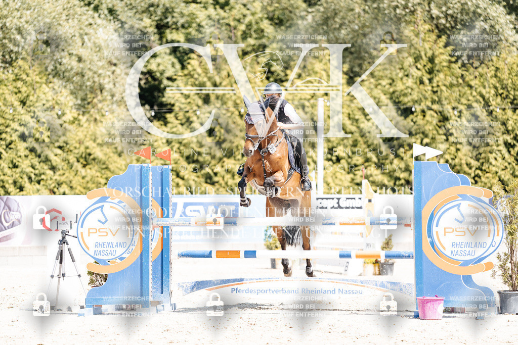 CK900822 | Turnierfotografie Pferdefotografie Trier Rheinland-Pfalz Pferdesport Reitsport Tierfotografie Sportfotografie Pferdevideo Pferdevideografie Equestrianvideography equestrianphotography  - Realisiert mit Pictrs.com