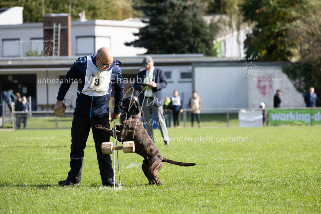 _16A6821 | Einzigartige Fotos von Hunden & Menschen –Actionfotos, Portraits, Vereinsaufnahmen & Paarshootings – authentisch, lebendig & mit Herz.
