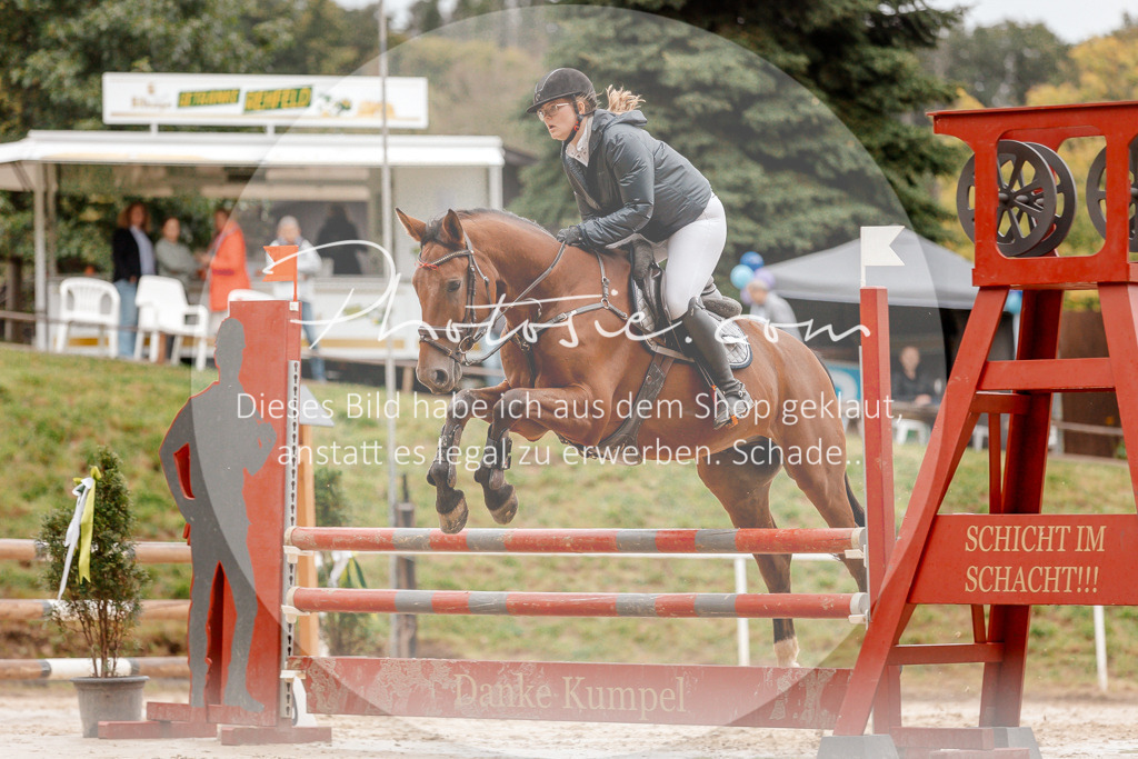 3I6A5864 | Stimmungsvolle Portraits und Reitsportfotografie im Ruhrgebiet und im Münsterland.

Pferdefotografie, Hundefotografie, Tierfotografie, Reportagen, Portraits von Tier und Mensch, Turnierfotografie in Bochum, Recklinghausen, Marl, Haltern am See, Dülmen.. - Realisiert mit Pictrs.com