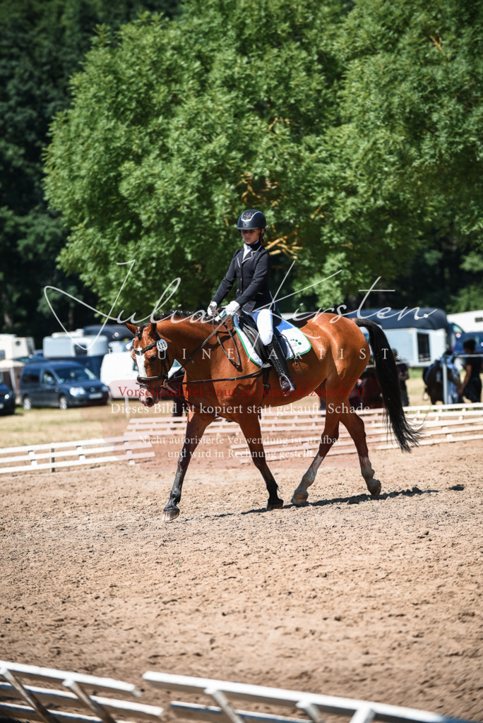 DSC_3425 | Pferde- und Turnierfotografie in Westsachsen. Pferdeportraits, Auftragszeichnungen und intuitive Kunst.