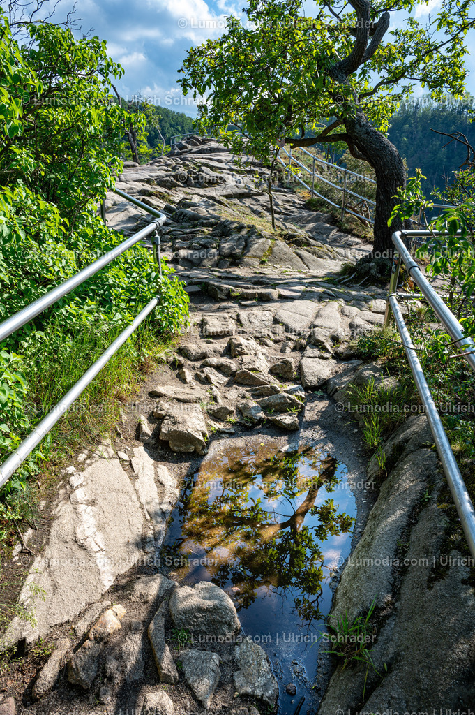 10049-13278 - Im Bodetal bei Thale | Stockfoto und Bilderpool mit Bildmaterial aus Deutschland, dem Harz, Halberstadt, Quedlinburg, Wernigerode und weltweit. Qualitativ hochwertige und professionelle Fotos anschauen und kaufen. - Realisiert mit Pictrs.com