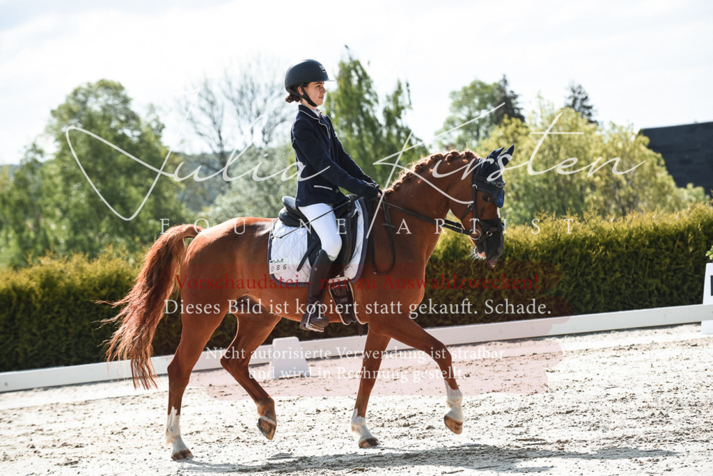20230518_JK-Röhrsdorf-09-1492 | Pferde- und Turnierfotografie in Westsachsen. Pferdeportraits, Auftragszeichnungen und intuitive Kunst.