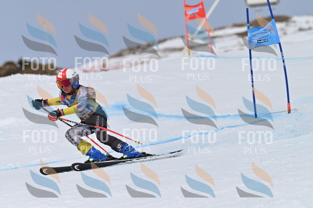 BGV_4604 | holidayphoto