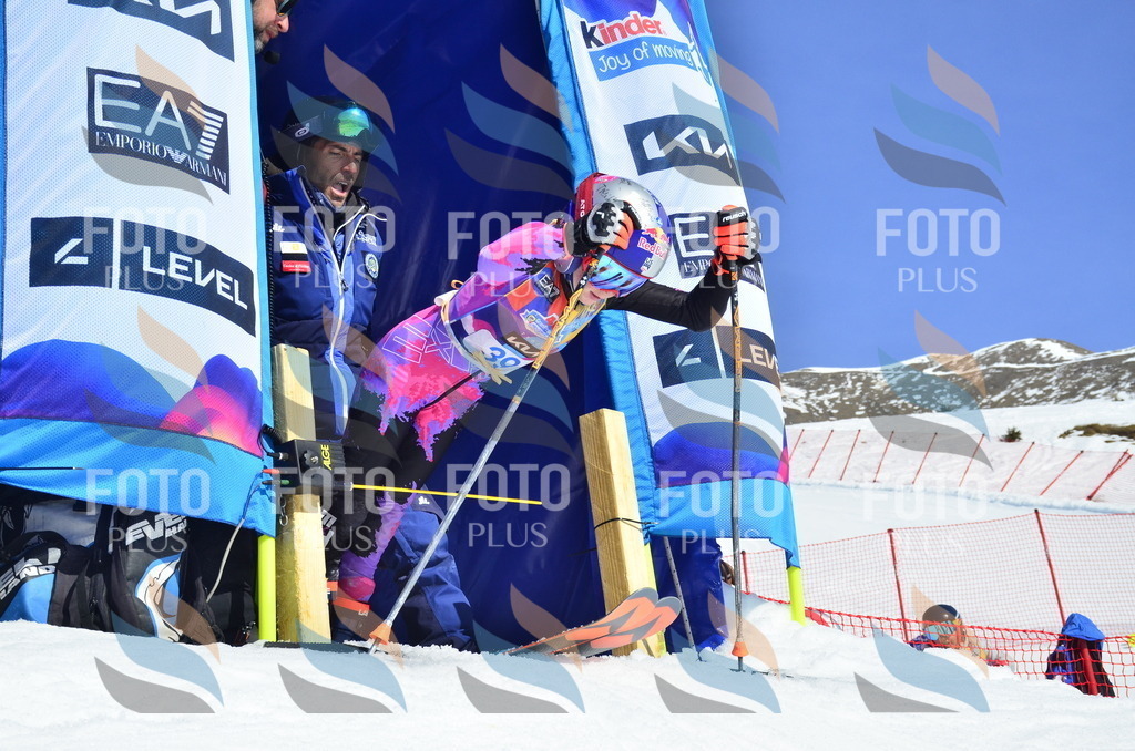 _ELE0047 | holidayphoto