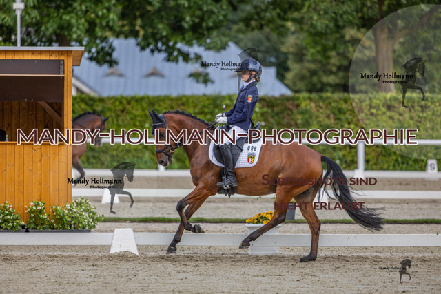DRE L 6j (771 von 969) | mandyhollmannphotographie