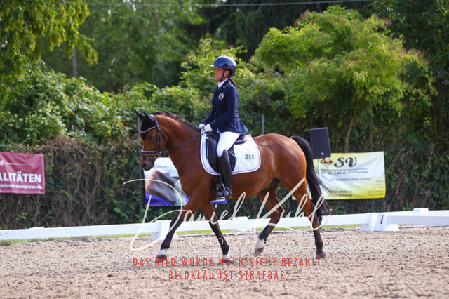 DKP43022 | Turniersportfotografie; Pferdefotografie; Dressurfotografie
