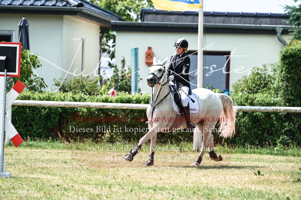 DSC_9404 | Pferde- und Turnierfotografie in Westsachsen. Pferdeportraits, Auftragszeichnungen und intuitive Kunst.