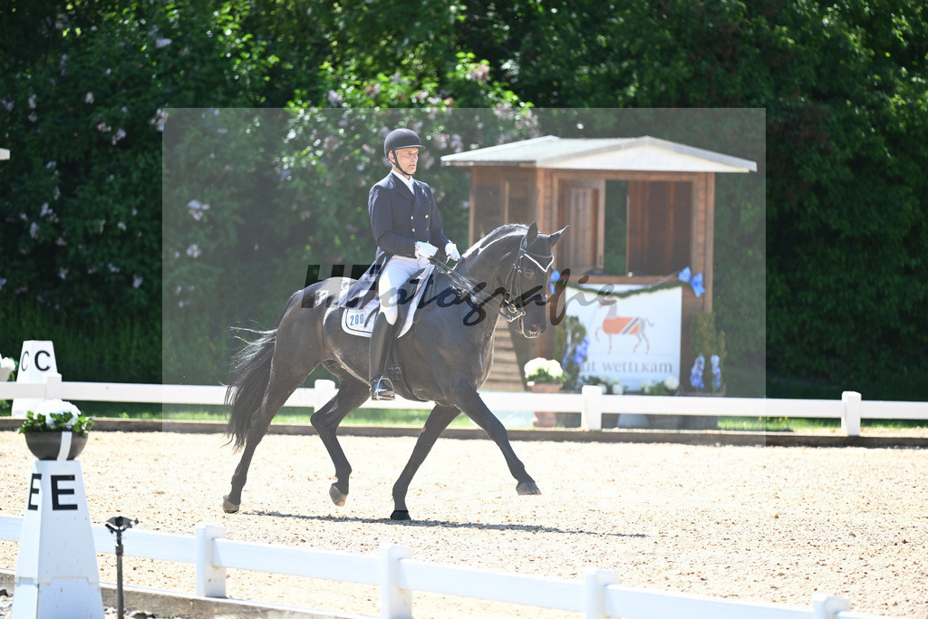 Spatz_Walentina_12246280 | hf-fotografie - Realisiert mit Pictrs.com