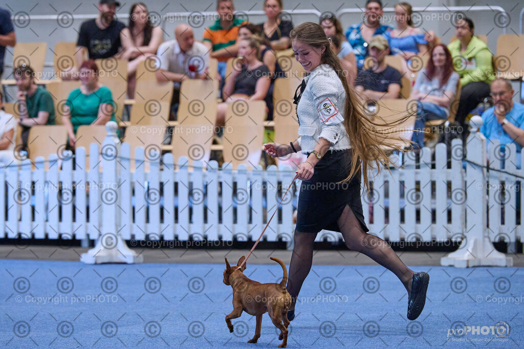 202406_ÖKV-IHA-Tulln24_DSC_3844 | proPHOTO - Realisiert mit Pictrs.com