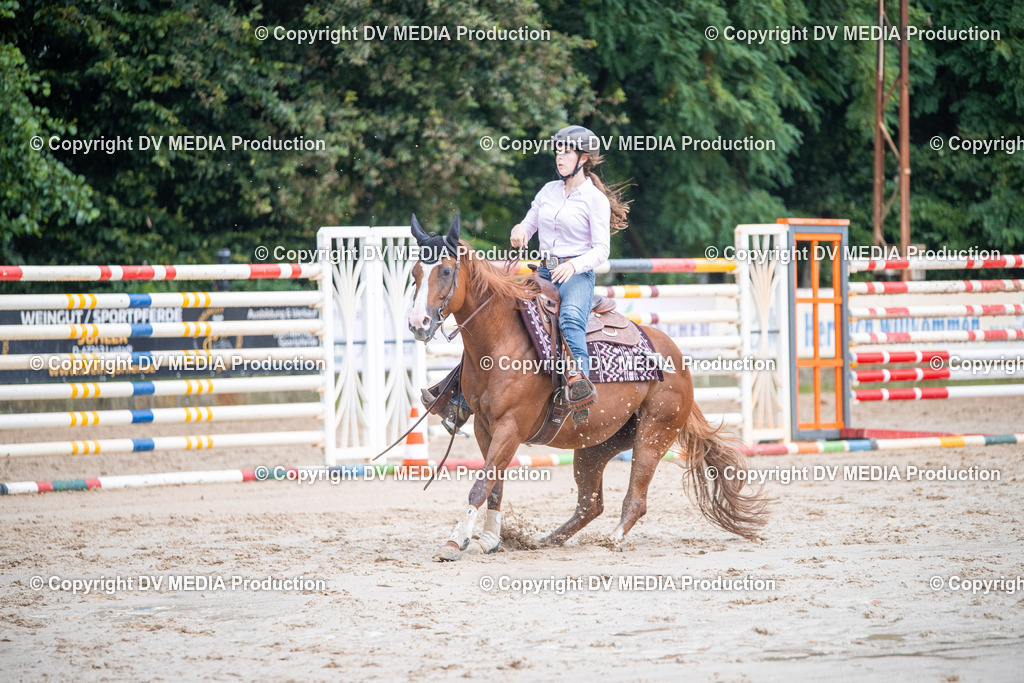 ZS2_4147 | dv-media-shop - Realisiert mit Pictrs.com