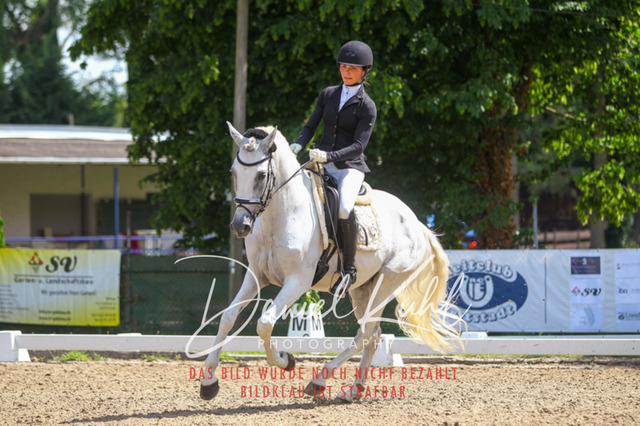 DKP42586 | Turniersportfotografie; Pferdefotografie; Dressurfotografie