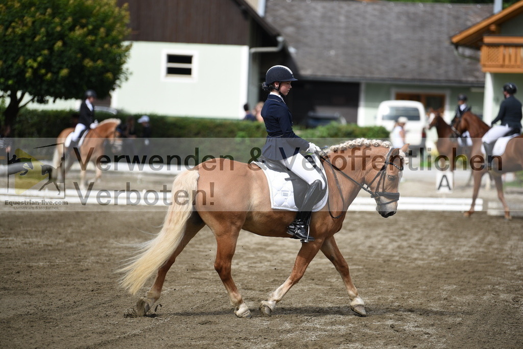 DSC_4961 | equestrian-live-com